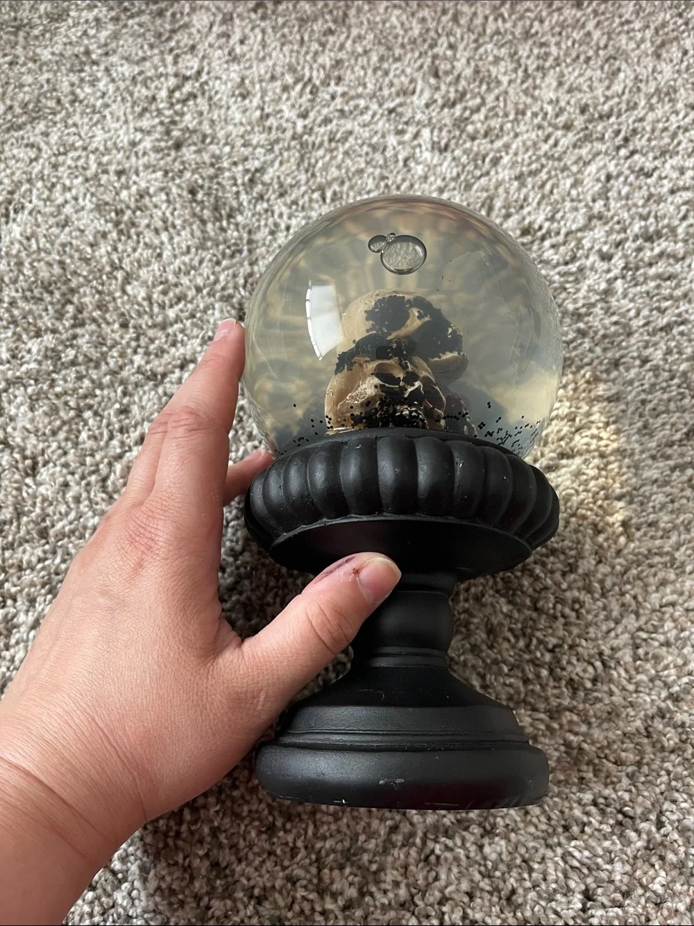 Skull Globe Decorative Accent in Black and Bone